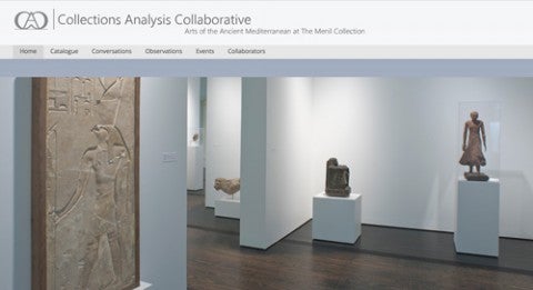 Collections Analysis Collaborative (CAC)